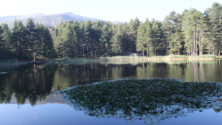 Lac de Creno et ses nénuphars