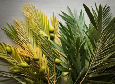 Célébrations des Rameaux à Notre-Dame