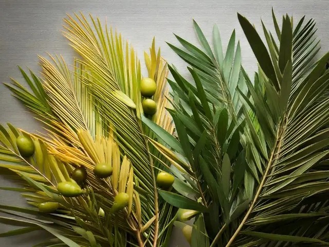 Célébrations des Rameaux à Notre-Dame